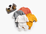 Load image into Gallery viewer, Cute Pullover Sweatshirt
