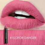 Load image into Gallery viewer, Easy to Wear Matte Batom Makeup Lipstick
